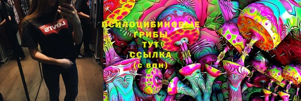 PSILOCYBIN Богданович